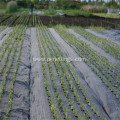 High quality agricultural pp woven ground cover fabric